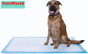 Gigantic Dog Training Pads, 36 in X 36 In, 150-Count, Disposable, Ultra-Absorbent, Heavy-Duty